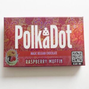 Polkadot Raspberry Muffin